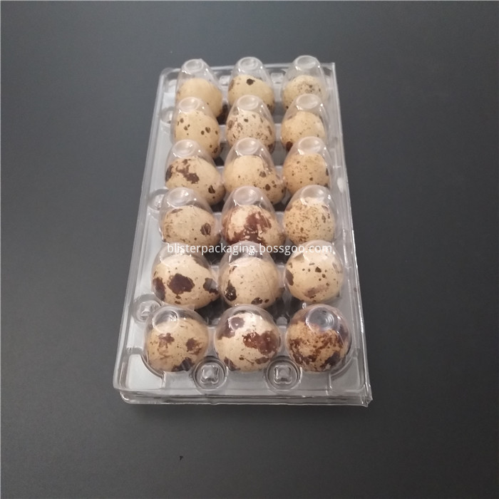 clear quail egg packing