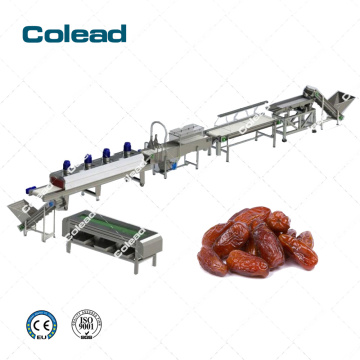 Palm dates washing and processing line