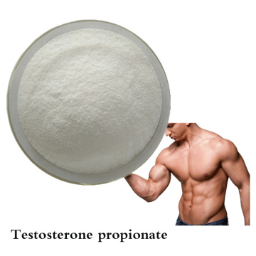 bodybuilding aromatize 100mg Testosterone propionate Powder