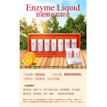 Solution enzymatique orange navel jiangxi