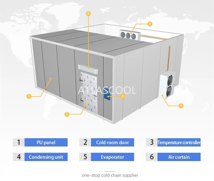 cold room fridge freezer