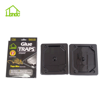 Mouse Glue Trap Boards Amazon UK