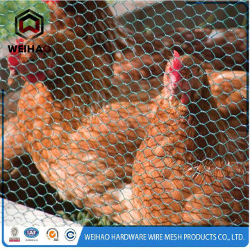 Hexagonal wire mesh/chicken poultry farms fence