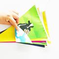 Triangle Pvc Baby Pennants Bunting Wholesale