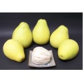 Export Standard Quality of Fresh Pomelo