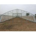 Single Span Plastic House Tunnel Greenhouse