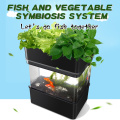 New Type Complete Hydroponic Aquaponics Growing Systems