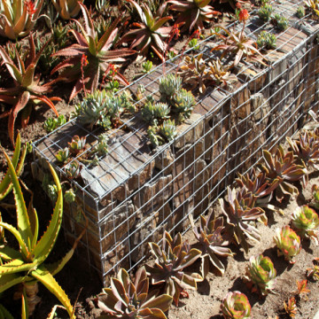 Tamanho Padrão Gabiões Plantador Box