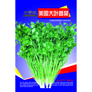 Large leaf heat resistant coriander seeds price