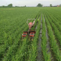 Riz paddy d&#39;essence de machine de désherbeur de riz