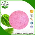 100% Fertilizante Soluble en Agua NPK 19-9-19 Fertilizante Compuesto