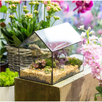 Métal Cuivre House Glass Maison Tabletop Fleur et plantes Terrarium