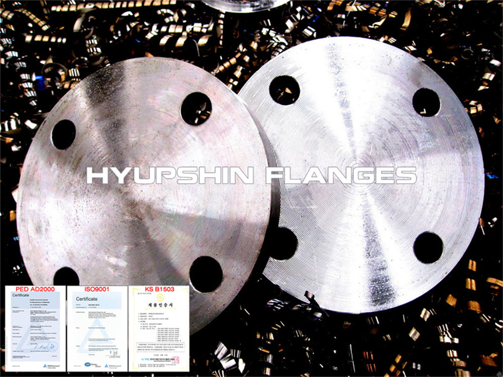 Hyupshin Flanges Blind Pn16