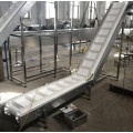 Inclined belt conveyor system