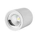 Cylindrical ceiling lamp for entrance