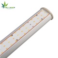 Barra de luz LED de 1000W para cultivo