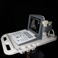 Portable B ultrasound scanner for abdomen