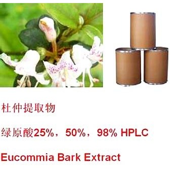 Eucommia Extract Chlorogenic Acid 25-99% HPLC