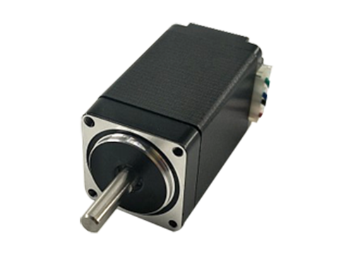 Brushless Dc Motor 24V hayden kirk