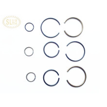 Music Wire Stainless Steel Wire Forming Spring (Slth-WFS-051)