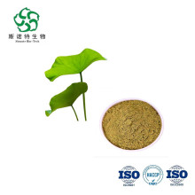 Hot Selling Lotus leaf extract Powder
