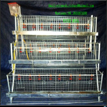 Cages personnalisées pour oiseaux Cages pour animaux de compagnie Cage de piégeage Toutes sortes Cages