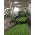 Wholesale Bulk Frozen Green Peas