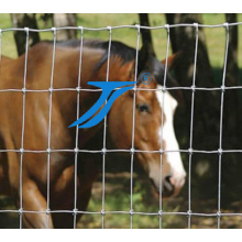 China Factory Cheap Price Top Quality Galvanized Farm Horse Fence