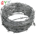 Hot-Dipped Galvanized Barbed Wire for Prison Security Fence