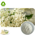 Instant Organic Elderberry Flower Tea Powder