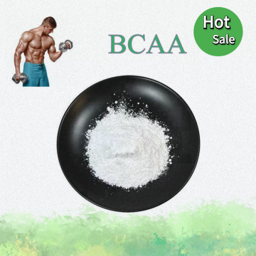 Fournir de la poudre BCAA de qualité supérieure pour la santé musculaire