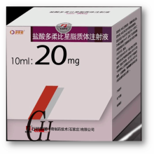 Doxorrubicin Hydrochloride Liposome Injection