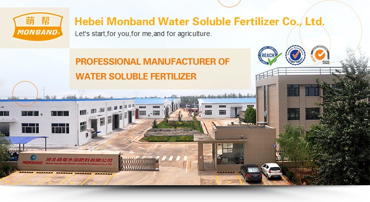 Urea phosphate fertilizer reach certification water soluble fertilizer