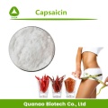 Medizin-Gebrauch Chili-Pfeffer-Extrakt-Capsaicin 95%-99% Pulver