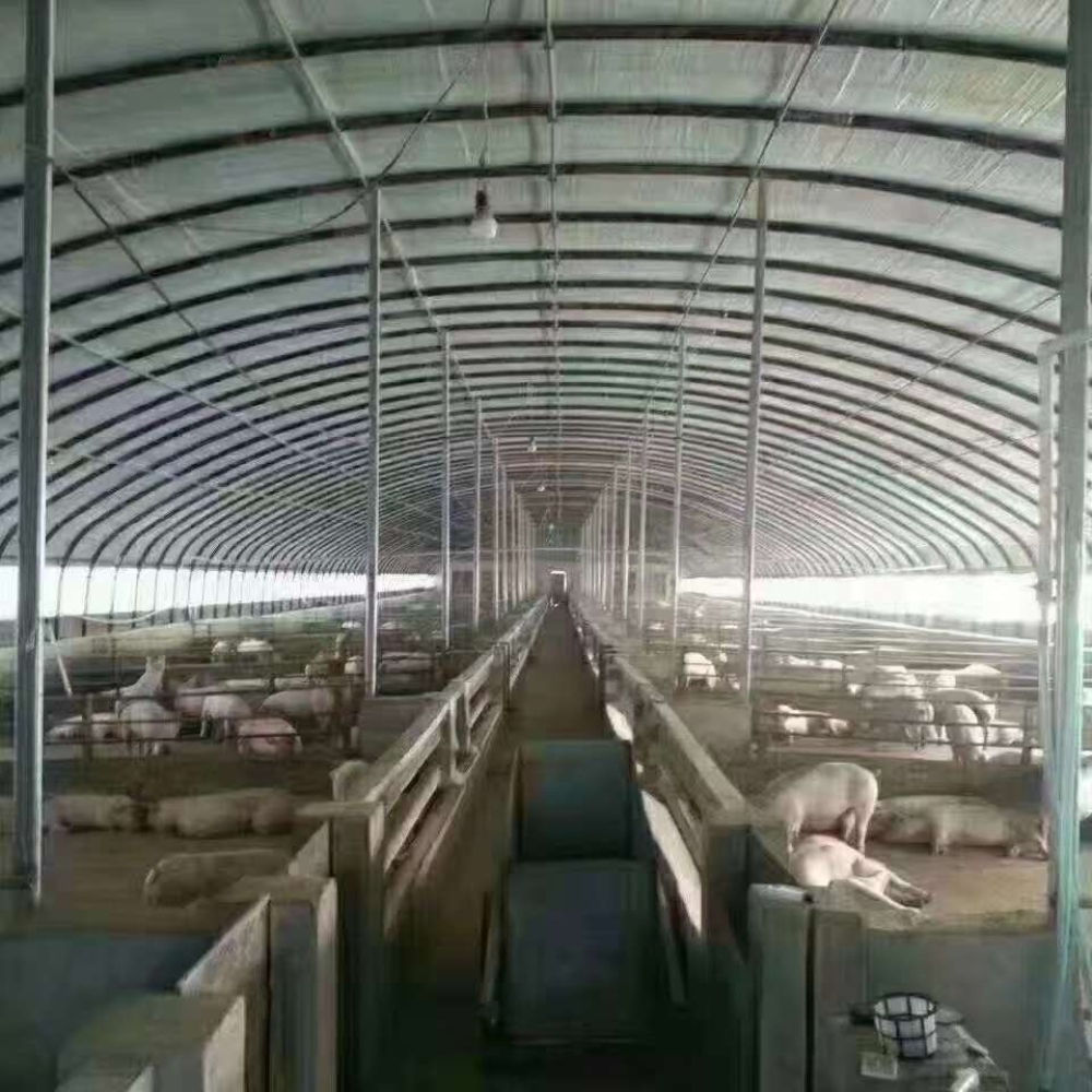 Single Greenhouse For Poultry Breeding Single Greenhouse For Poultry Breeding