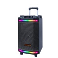 12'' Fantastic  Portable Party Speaker With Microphone