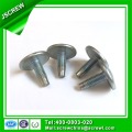 M8 Torx Head Stainless Steel Screw