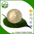 Customized 47% Fertilizer NPK 19-9-19 100 Water Soluble NPK