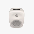 Professional Series Wall Mount Speakers