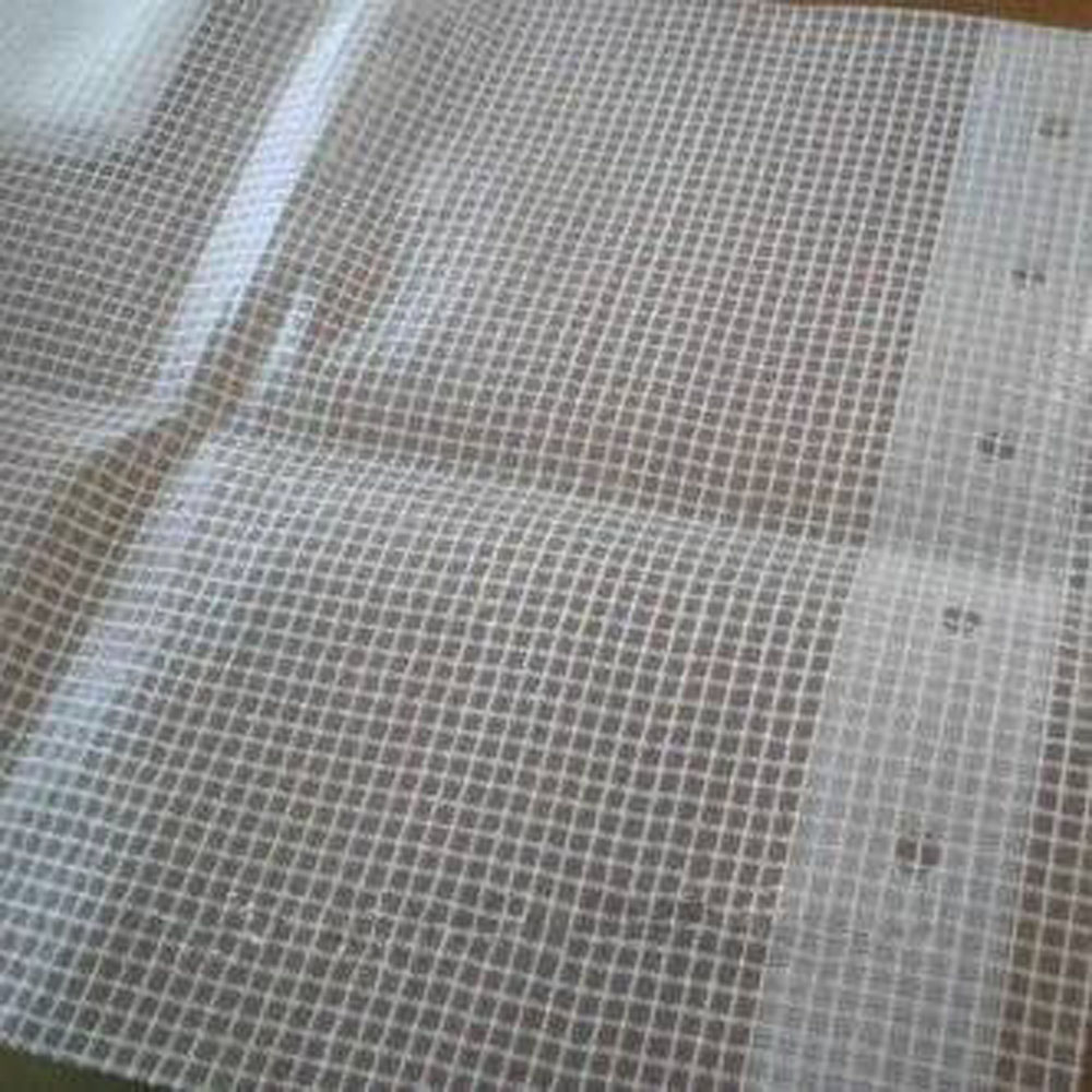 Webbing Band Reinforced Transparent Tarpaulin Fabric