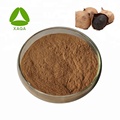 Black Garlic Extract Powder 10:1