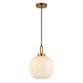 Modern Home Decor Hanging Suspended Pendant Light