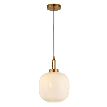 Modern Home Decor Hanging Suspended Pendant Light