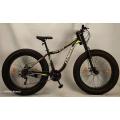 Fat Bike Beach Cruiser