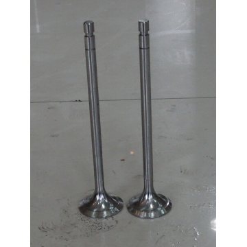 Train Exhaust Engine Valve from Factory