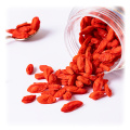 Dried Red Goji Berry Wolfberry Goji