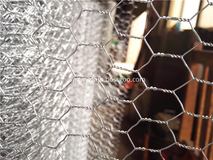 Hot-dip Galvanized Hexagonal Mesh