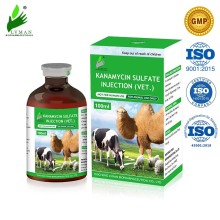 Inyección de sulfato de kanamicina 10/20/50/100ml para animal