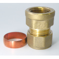 Compression Brass Female Straight Coupler