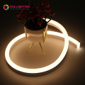 LED Outdoor Pool Light Strip Neon Waterproof IP68